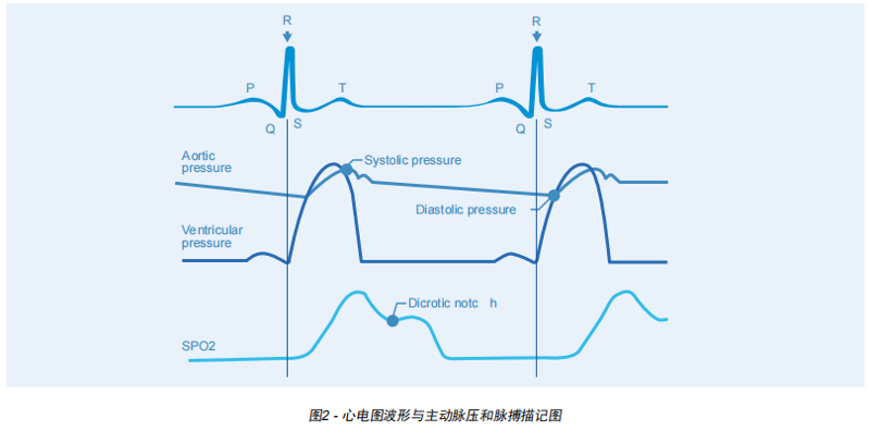 Rigel系列醫(yī)療測試設(shè)備之生命體征測量方法